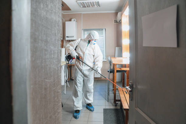 Best Black Mold Removal  in Groton, SD