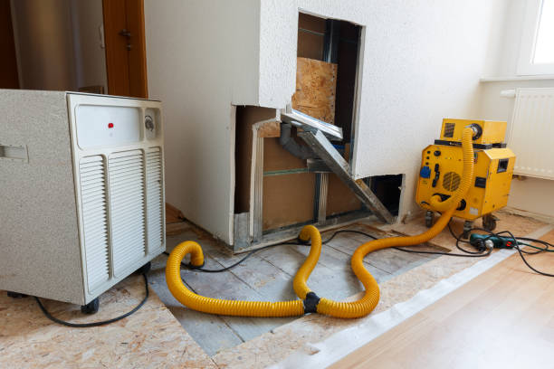 Best Asbestos and Lead Testing During Mold Inspection  in Groton, SD