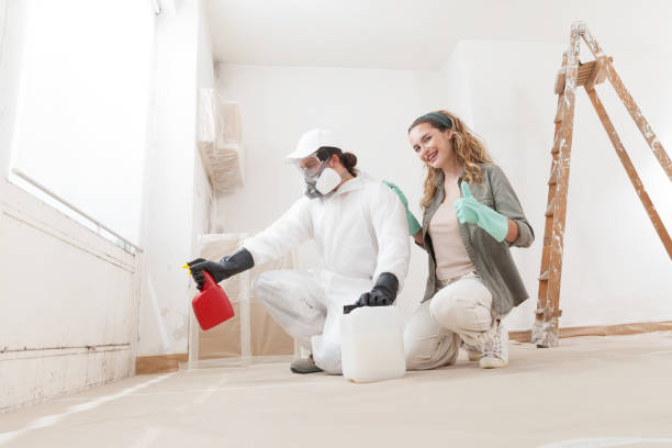 Best Residential Mold Inspection & Testing  in Groton, SD