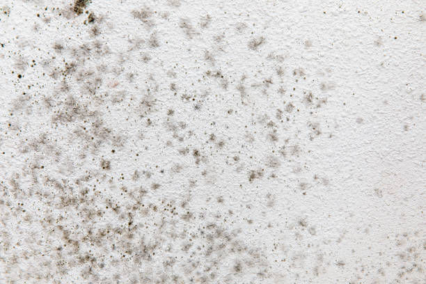 Best Indoor Air Quality Assessment  in Groton, SD